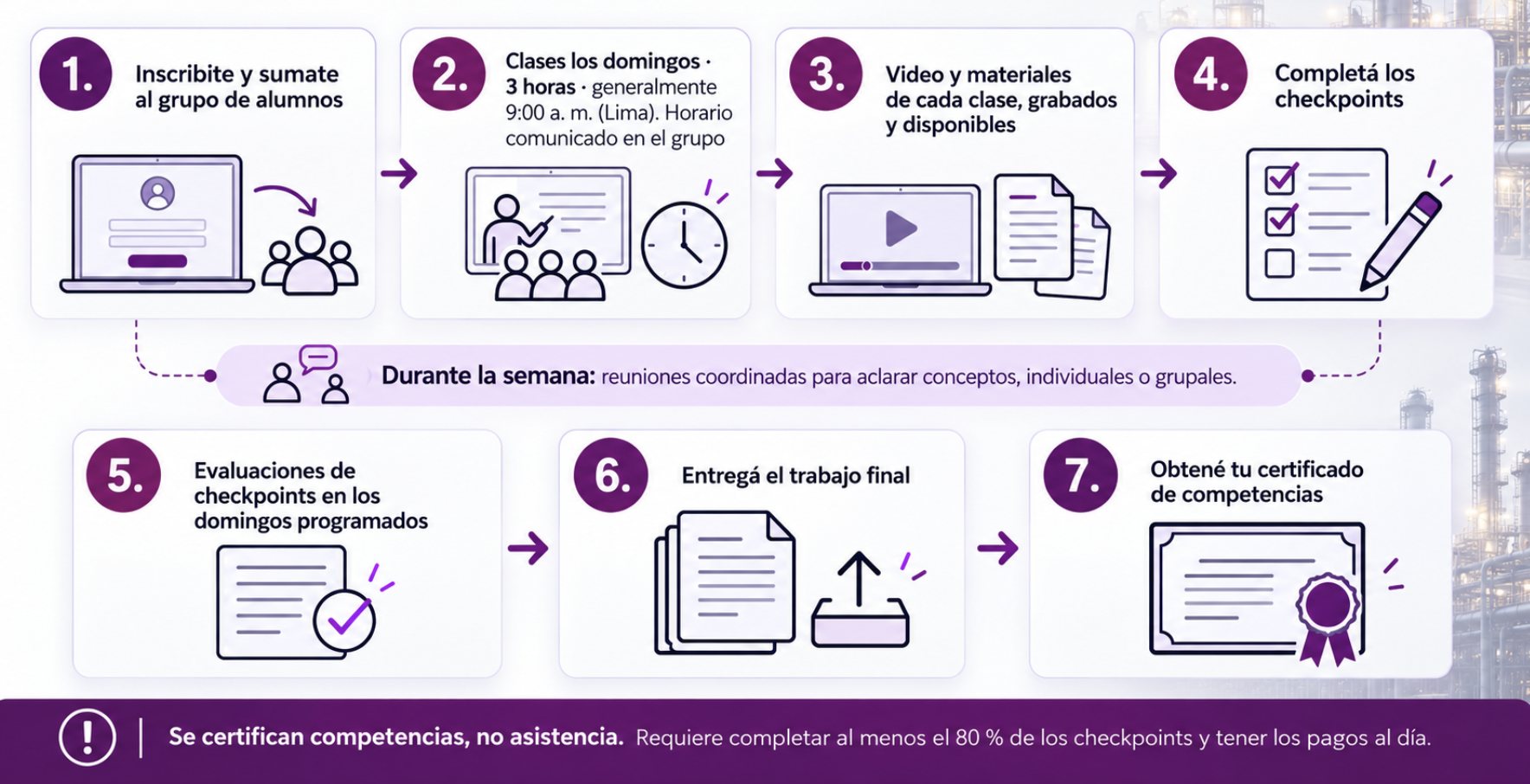 Los 7 pasos del programa: inscribite, clases los domingos, video y materiales, completá los checkpoints, evaluaciones, entregá el trabajo final y obtené tu certificado de competencias